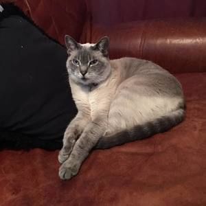 Meet your Posher, Leighanne